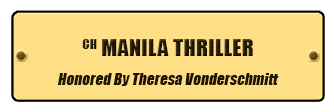 Manila Thriller