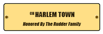 CH Harlem Town