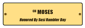 CH MOSES