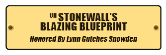 CH Stonewall's Blazing Blueprint