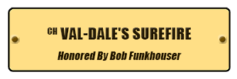 VAL-DALE'S SUREFIRE