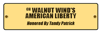 WALNUT WIND'S AMERICAN LIBERTY